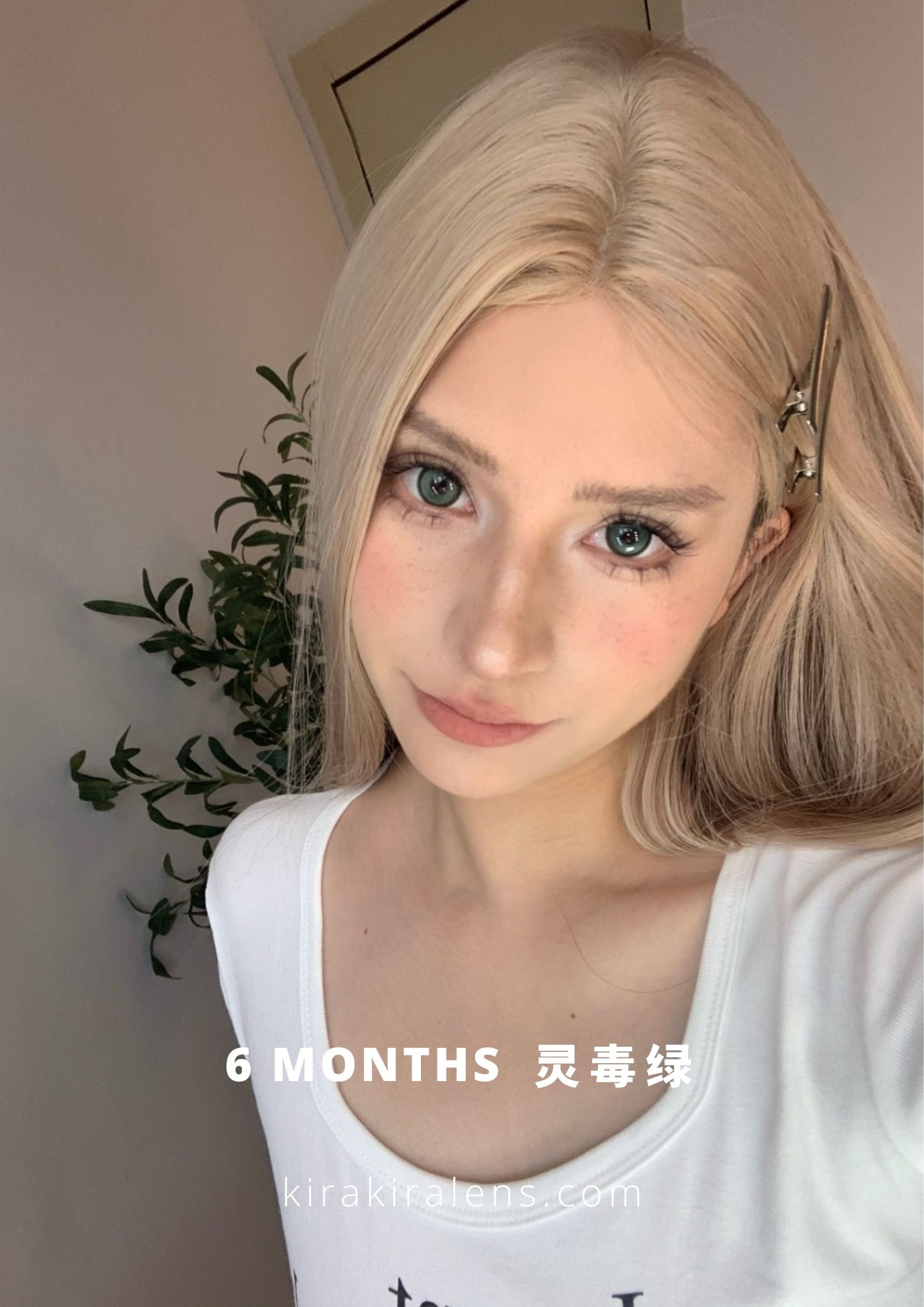 Allecon 灵毒绿