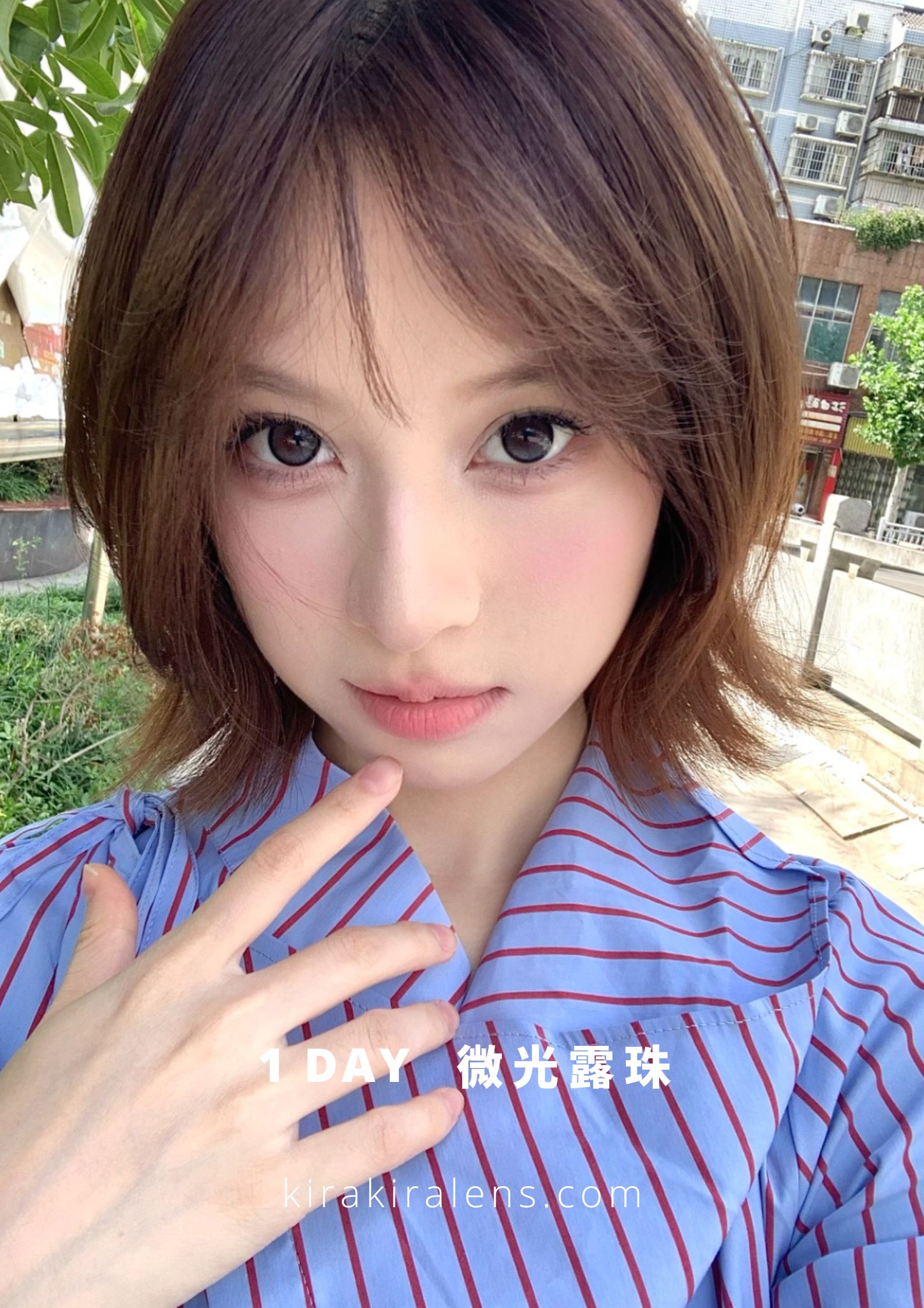 Flower Color 微光露珠