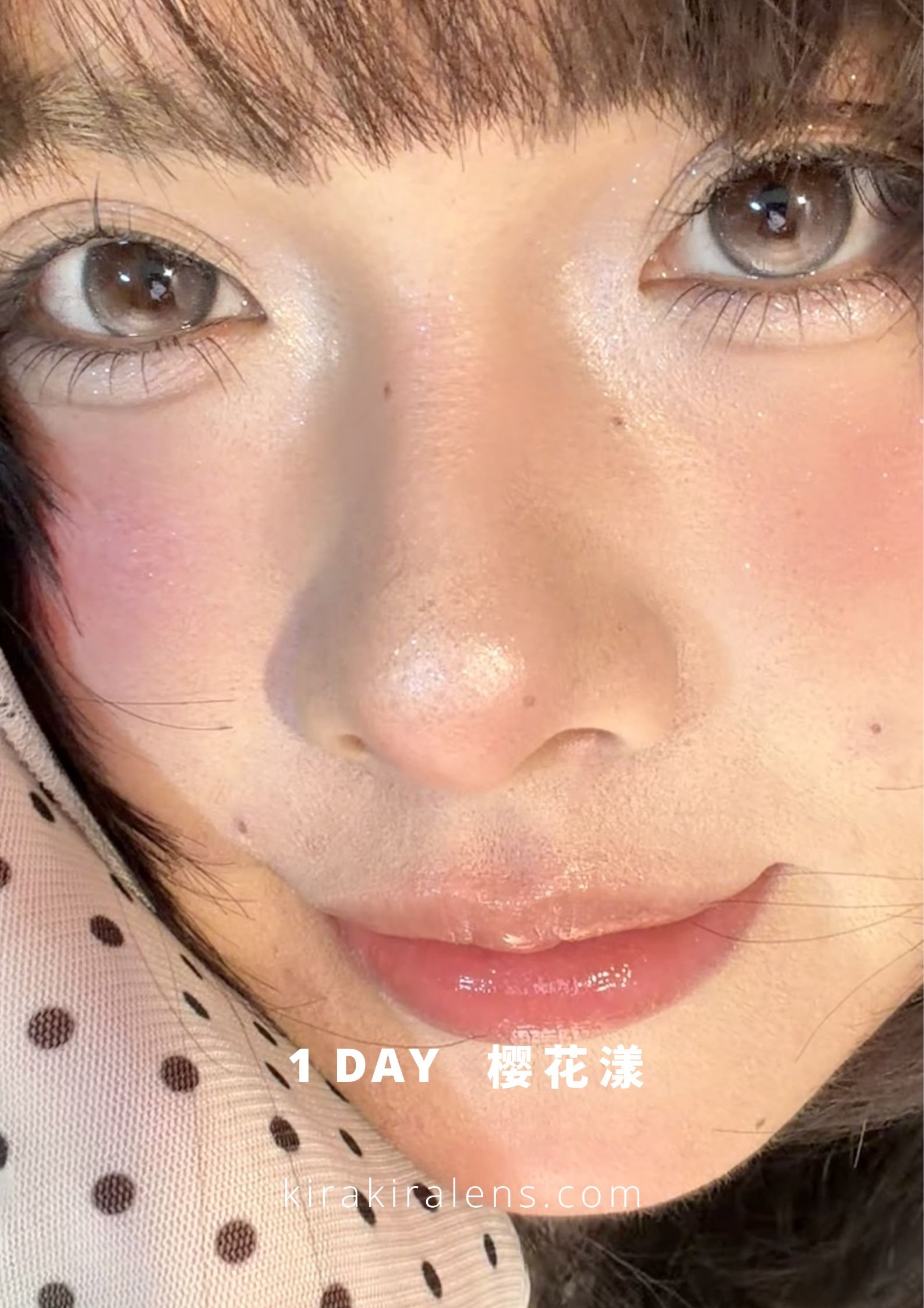 Chonos 樱花漾